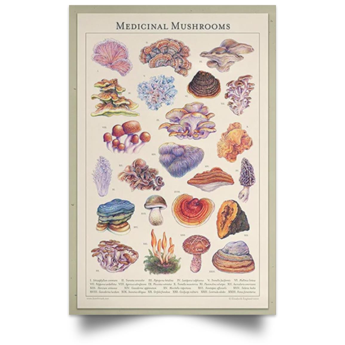 MUSHROOMS POSTER NO FRAME  Satin Portrait Poster