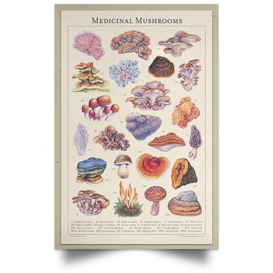 MUSHROOMS POSTER NO FRAME  Satin Portrait Poster