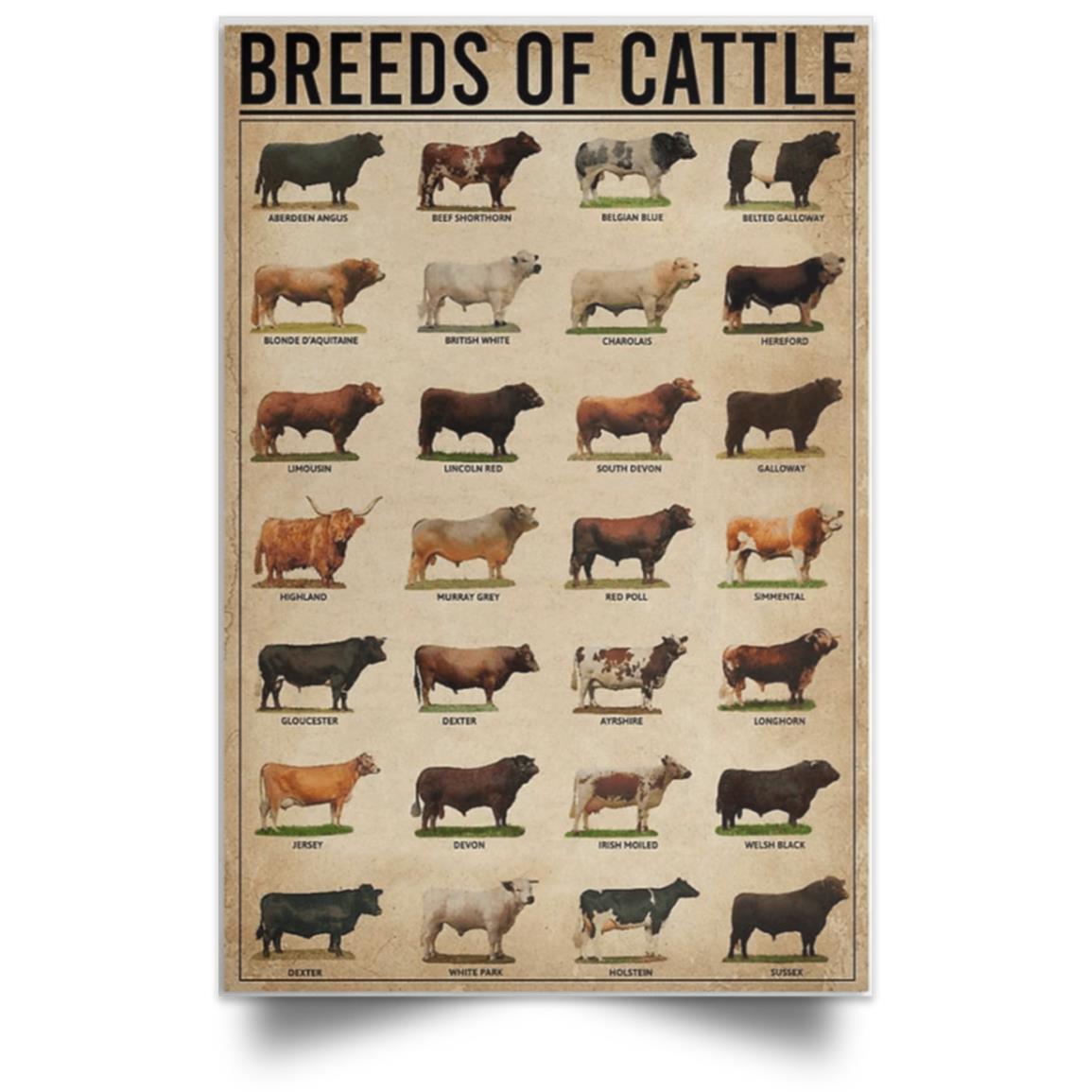 CATTLE BREEDS POSTER NO FRAME  Satin Portrait Poster