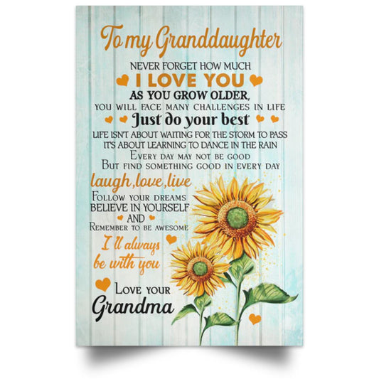 TO MY GRANDAUGHTER POSTER NO FRAME