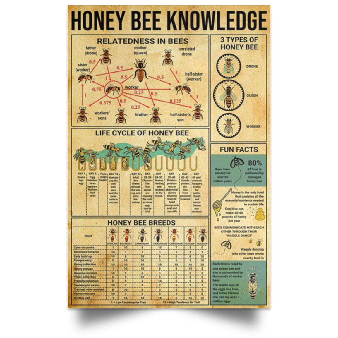 HONEY BEE KNOWLEDGE POSTER NO FRAME